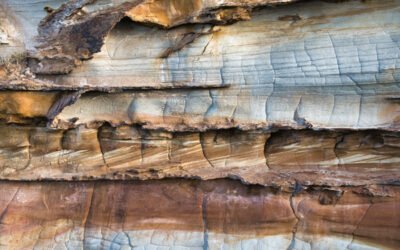 Geologist